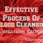 Effective Process Of Blood Cleanse And Purify