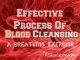 effective-process-of-blood-cleansing